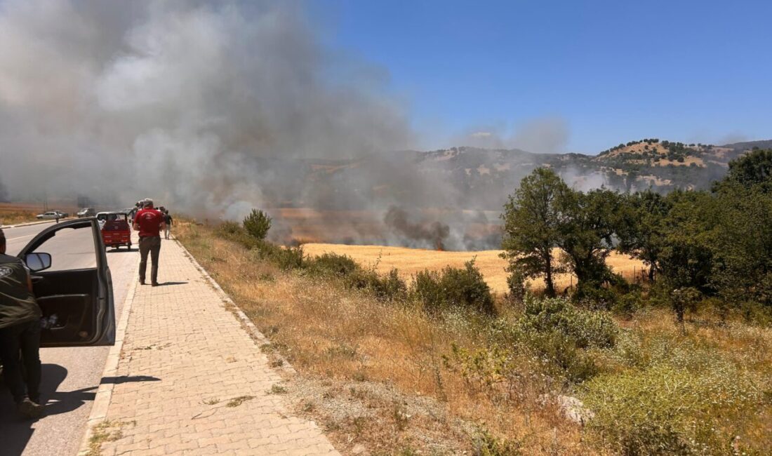 KÜTAHYA (AA) – Kütahya'nın Hisarcık ilçesinde, biçerdöverin neden olduğu arazi