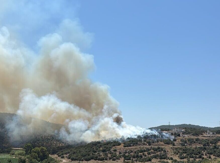 MUĞLA (AA) – Muğla'nın Milas ilçesinde ziraat alanında çıkan yangın