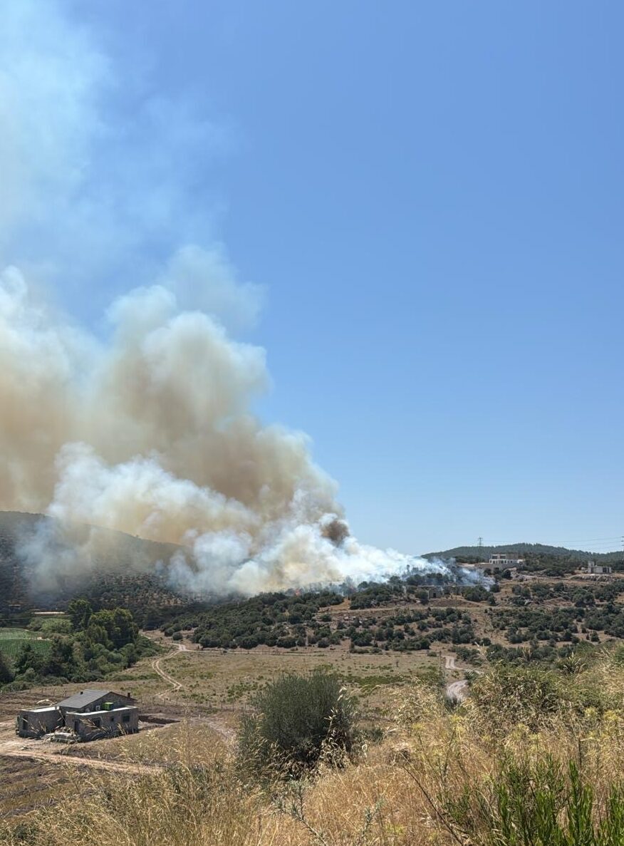 MUĞLA (AA) – Muğla'nın Milas ilçesinde ziraat alanında çıkan yangın