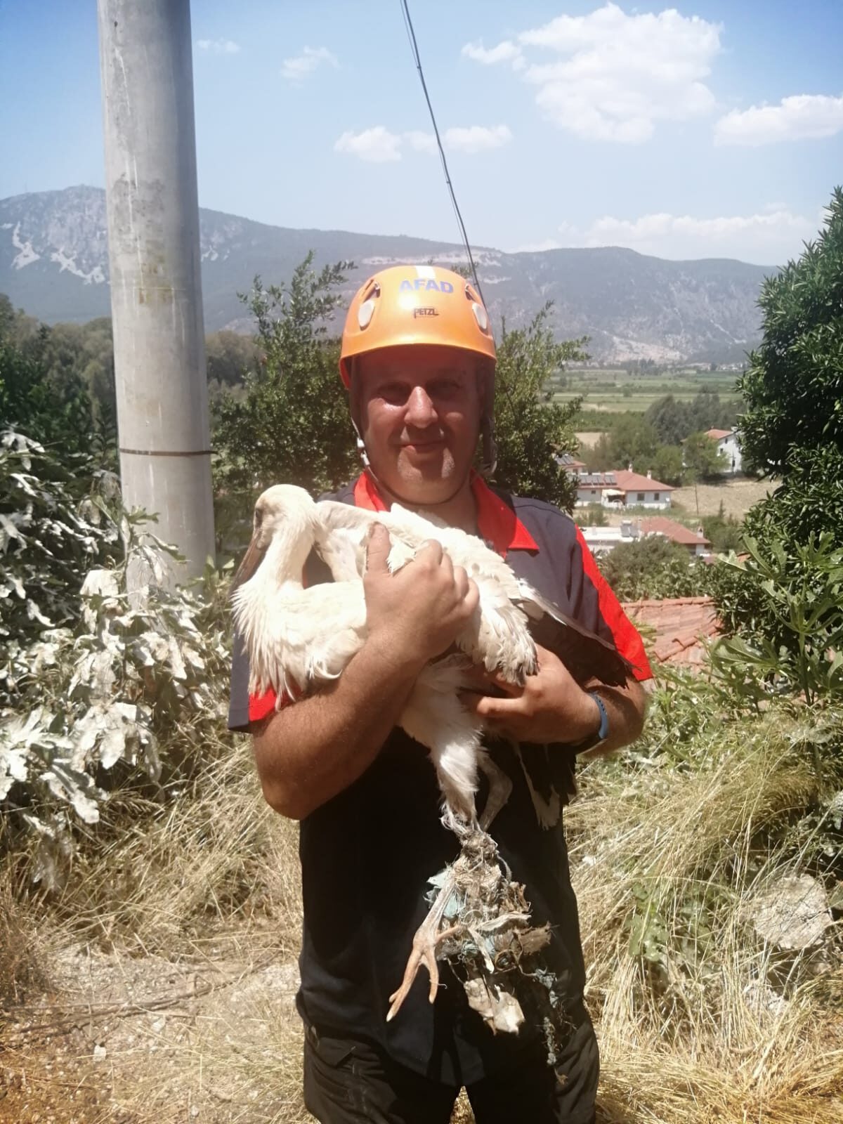 MUĞLA (AA) – Muğla'nın Ula ilçesinde yuvasında ayağı kırılan leylek
