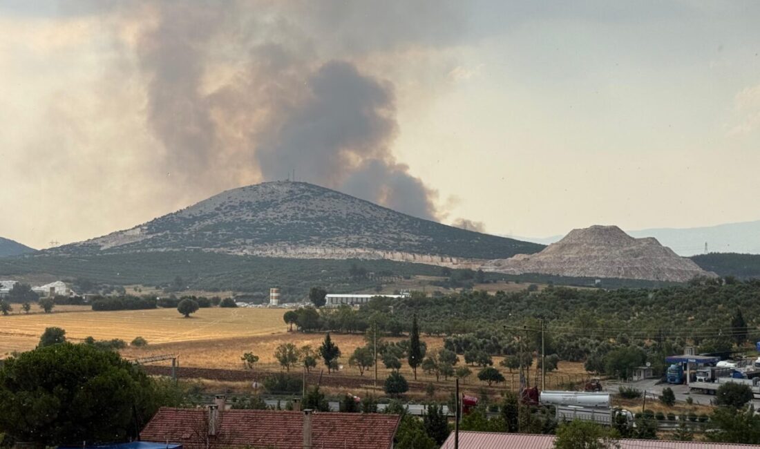 MUĞLA (AA) – Muğla'nın Yatağan ilçesinde çıkan orman yangınına havadan