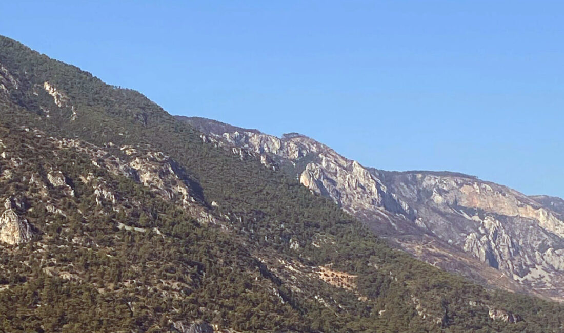 MUĞLA (AA) – Muğla'nın Menteşe ilçesinde kürek sörfüyle denize açılan