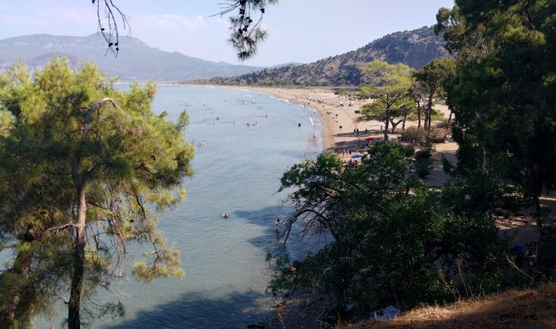 MUĞLA (AA) – Muğla'nın Ortaca ilçesindeki İztuzu Sahili'nde yumurtadan çıkan
