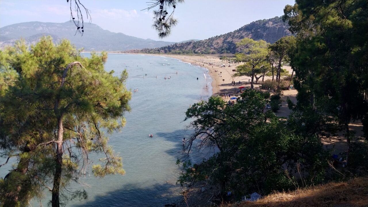 MUĞLA (AA) – Muğla'nın Ortaca ilçesindeki İztuzu Sahili'nde yumurtadan çıkan
