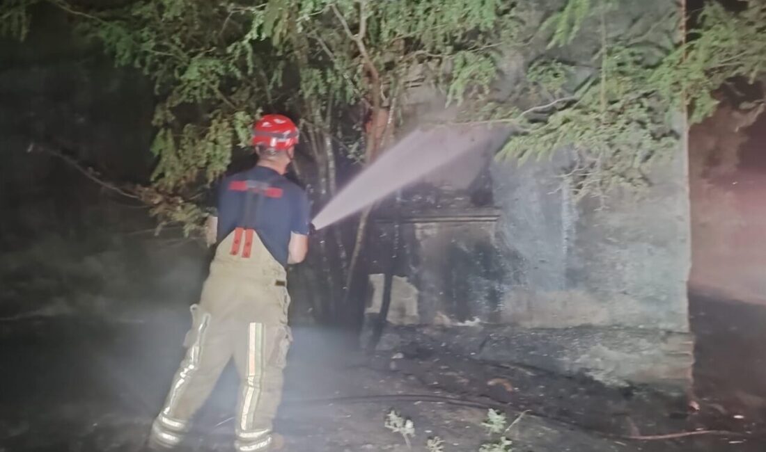 İZMİR (AA) – İzmir'in Ödemiş ilçesinde trafoda çıkıp otluk alana