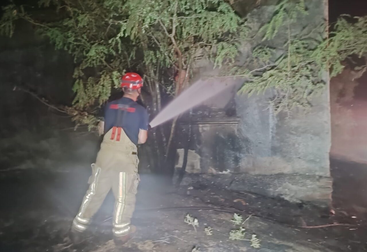 İZMİR (AA) – İzmir'in Ödemiş ilçesinde trafoda çıkıp otluk alana