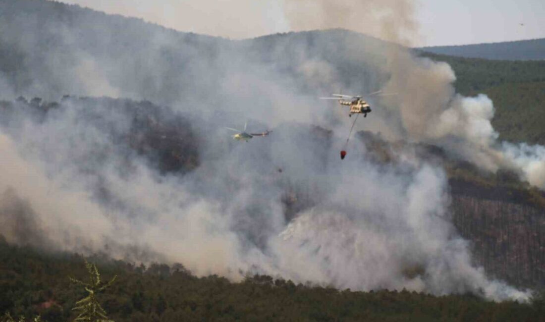 Eskişehir’in Seyitgazi ilçesinde çıkan orman yangını büyümeye devam ediyor. Fethiye