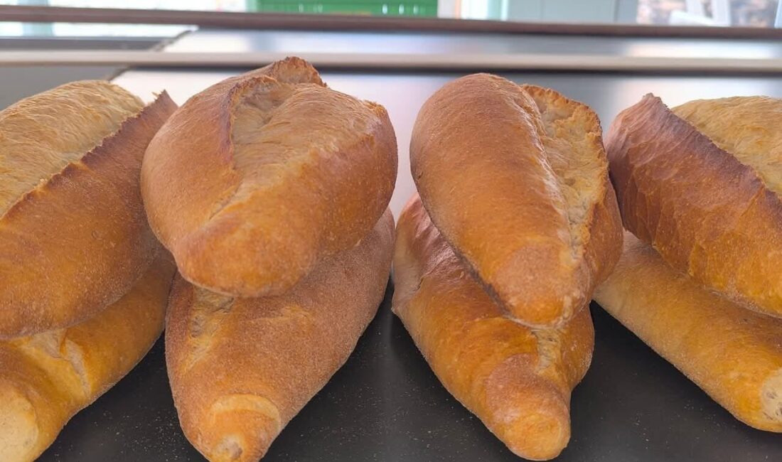 Şuhut’ta ekmeğe zam Afyonkarahisar’ın Şuhut ilçesinde 250 gram ekmeğin satış fiyatı 12.5 TL