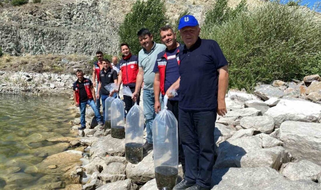 Kütahya’nın Tavşanlı ilçesinde, Tarım ve Orman Bakanlığı’nın “Su Kaynaklarının Balıklandırılması