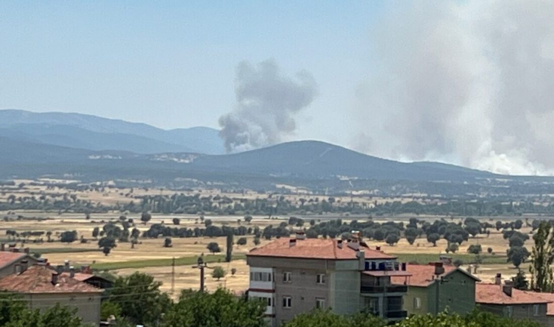 UŞAK (AA) – Uşak'ın Sivaslı ilçesinde meşelik alanda çıkan yangına