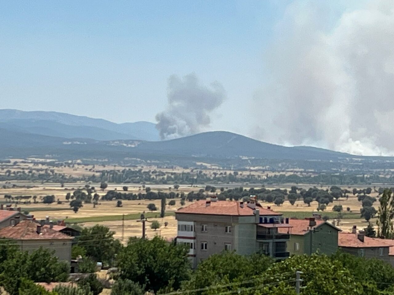 UŞAK (AA) – Uşak'ın Sivaslı ilçesinde meşelik alanda çıkan yangına