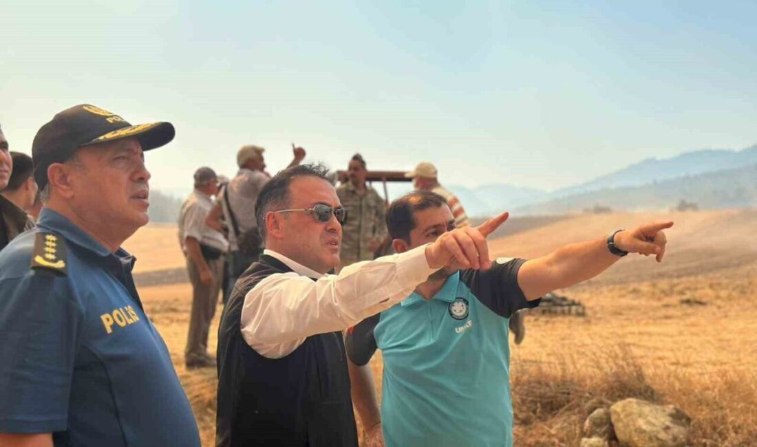 Sakarya’nın Geyve ile Pamukova ilçeleri arasında kalan ormanlık alanda dün