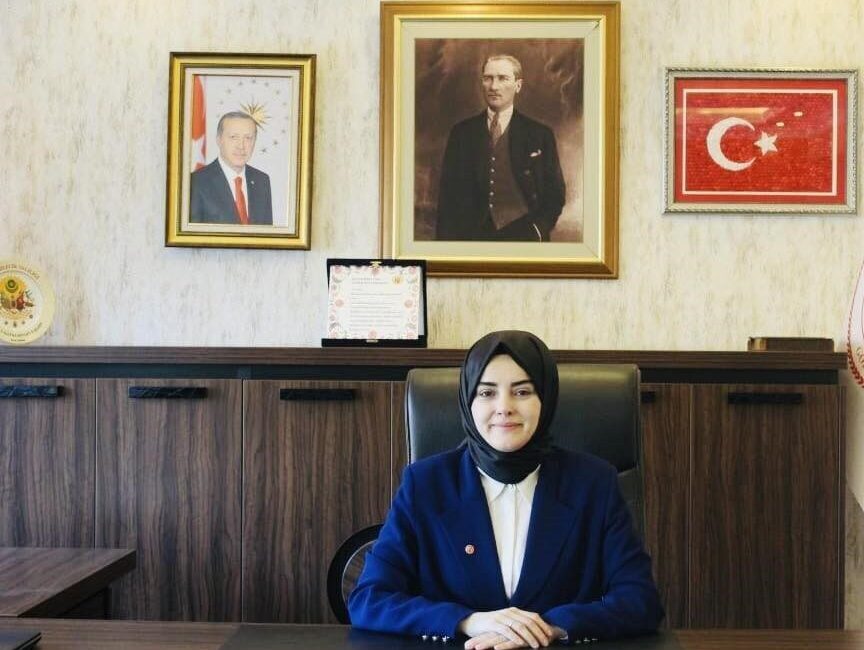 Bilecik’in Gölpazarı ilçesine bağlı köylerde meydana gelen yangınlar sonrası zarar