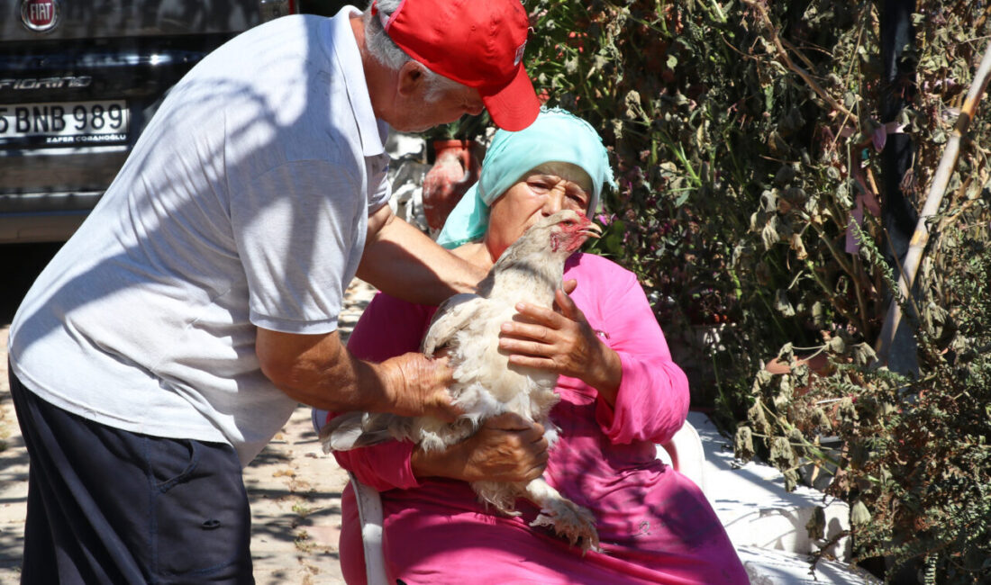 - İzmir'in Seferihisar ilçesine bağlı Payamlı Mahallesi'nde yaşayan Muzaffer ve