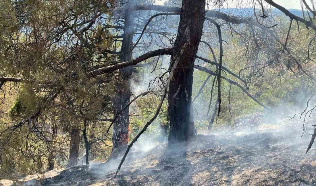 Eskişehir’in Sarıcakaya ilçesindeki ormanlık alanda yıldırım düşmesi sonucu çıkan orman