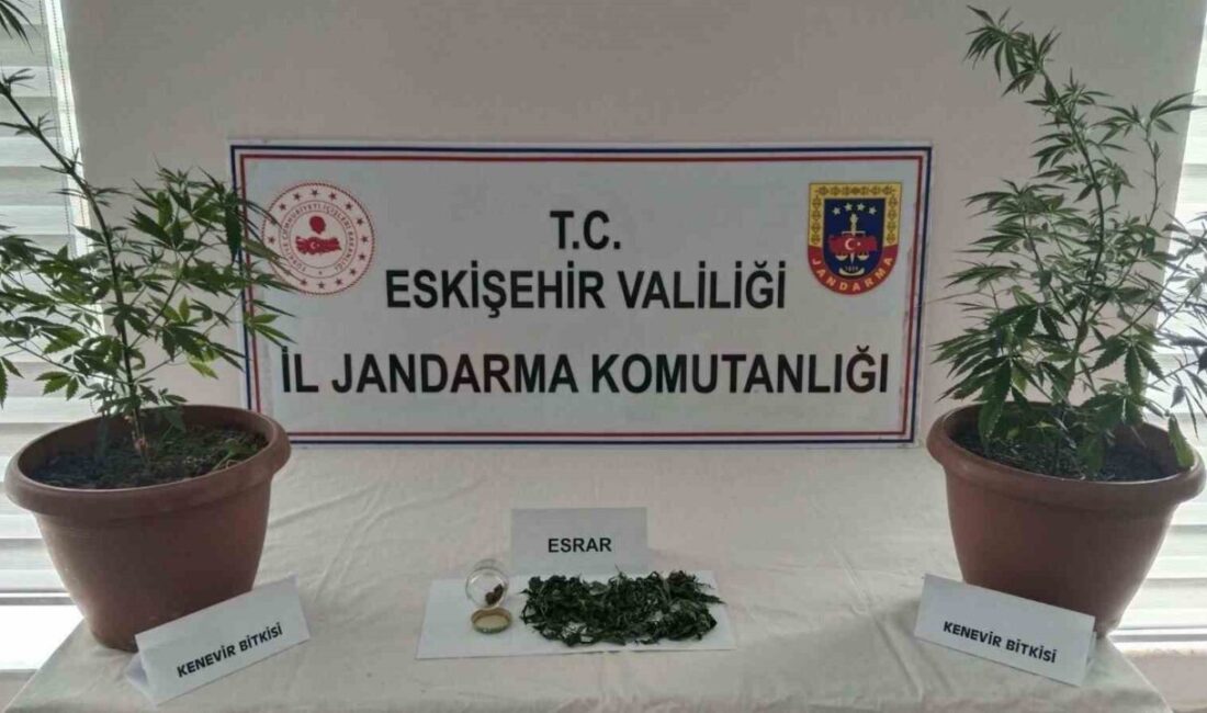 Eskişehir’de jandarma ekiplerince evinin balkonundaki saksıların içinde 2 kök kenevir
