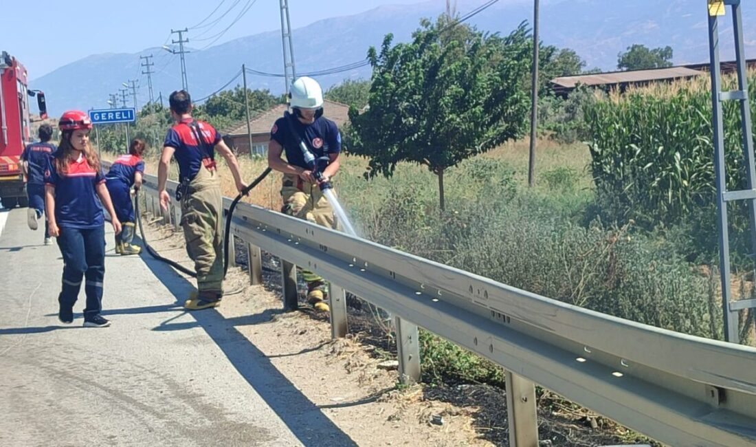 İZMİR (AA) – İzmir'in Beydağ ve Ödemiş ilçelerinde çıkan iki