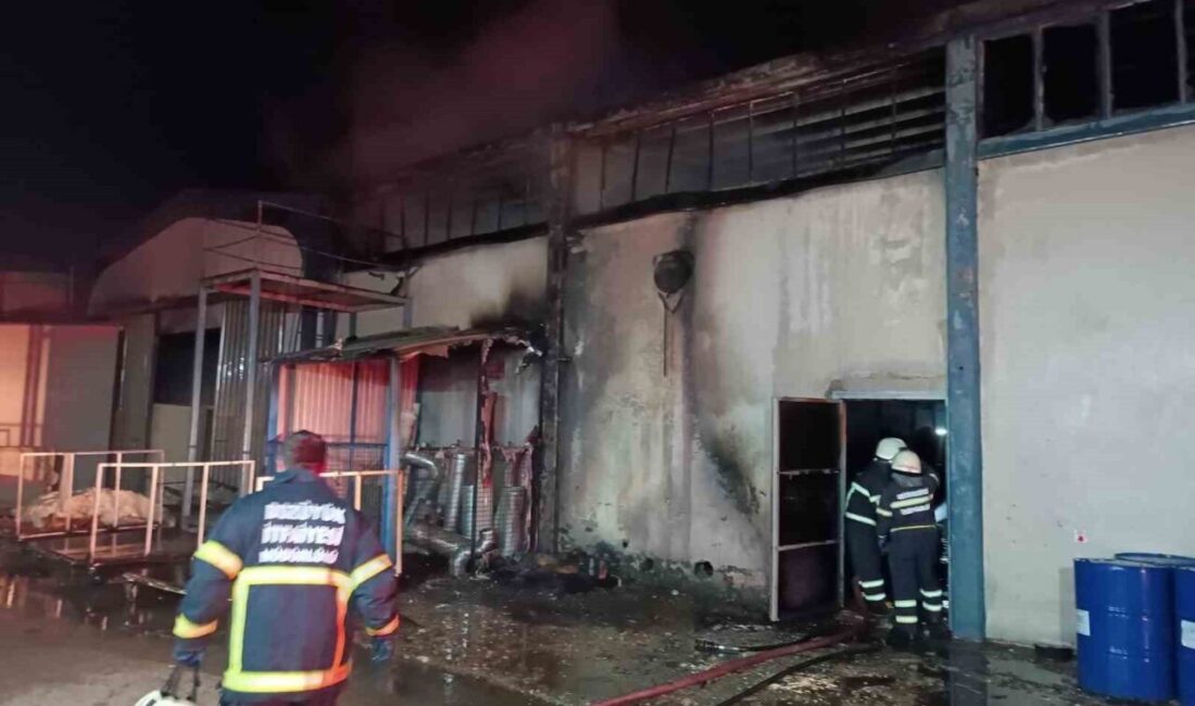 Bilecik’in Bozüyük ilçesindeki İDAŞ Fabrikası’nda gece yarısı yangın çıktı. Fabrikanın
