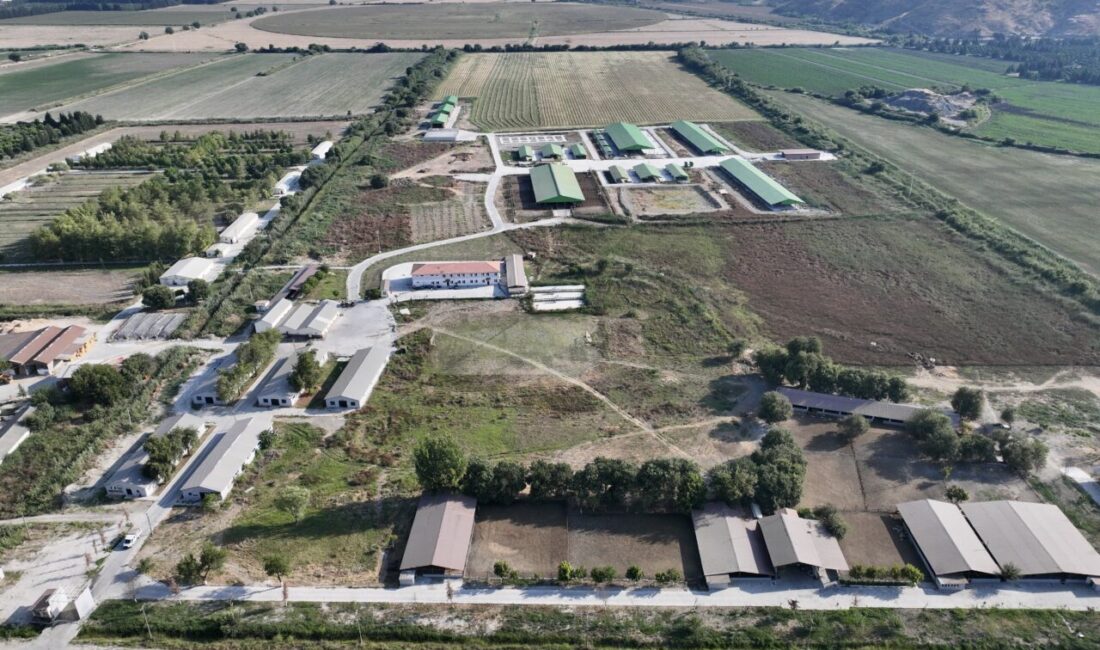 - Açık Ceza İnfaz Kurumundaki hükümlüler, iş yurtlarında çalışarak hem