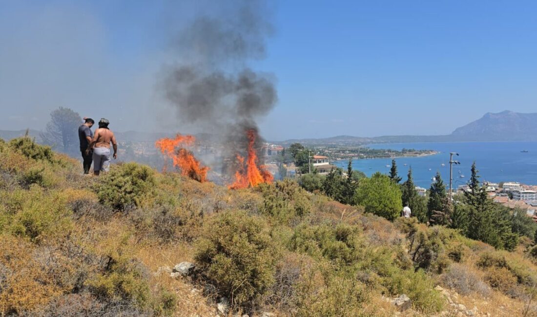 MUĞLA (AA) – Muğla'nın Datça ilçesinde makilik alanda çıkan yangın,