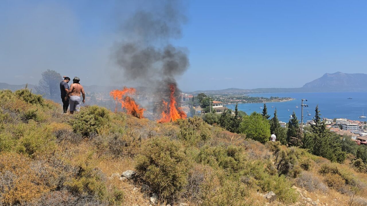 MUĞLA (AA) – Muğla'nın Datça ilçesinde makilik alanda çıkan yangın,