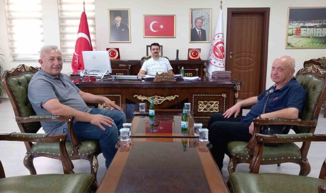 Afyonkarahisar’ın Emirdağ ilçesinde başıboş köpekler kaymakamlık ve belediyenin yaptığı ortak
