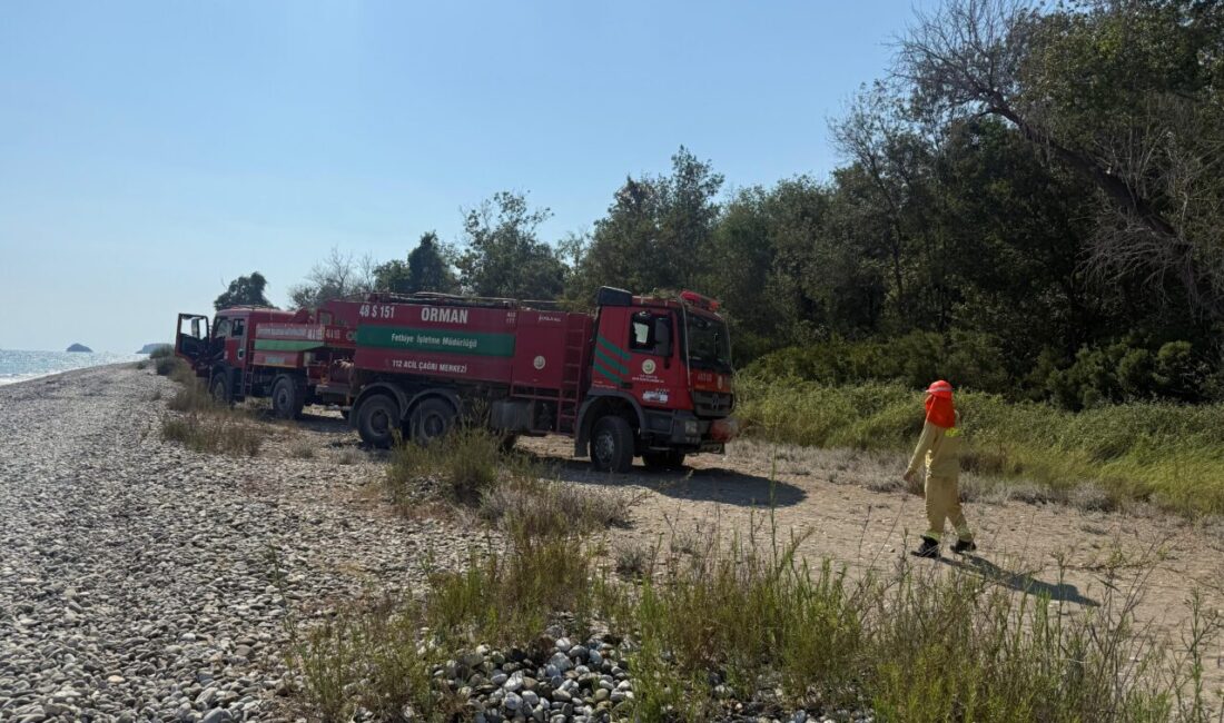 ANKARA (AA) – Muğla'nın Fethiye ilçesinde Karaot Plajı yakınındaki ormanlık