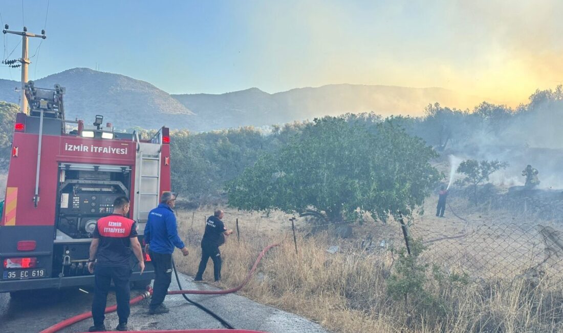 - İzmir Büyükşehir Belediyesi:
- "Sitedeki 7 ev tamamen, 4 ev