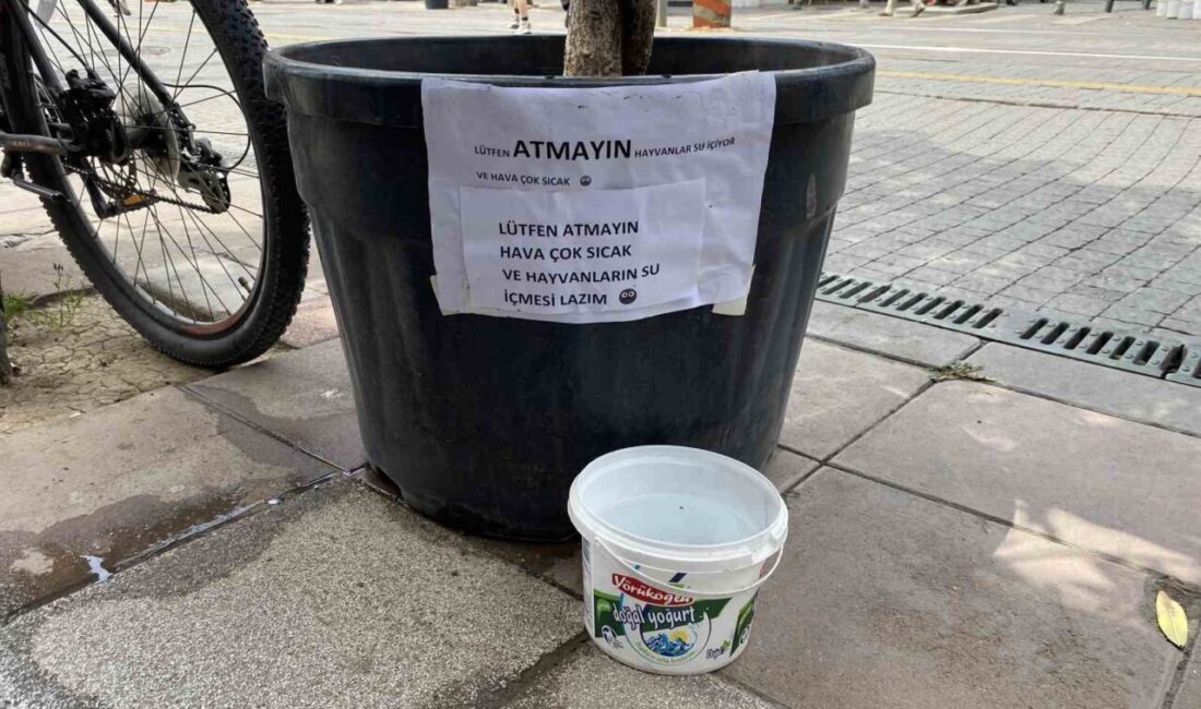 Eskişehir’de hayvansever bir vatandaşı su koyduğu kabın sürekli çöpe atılması