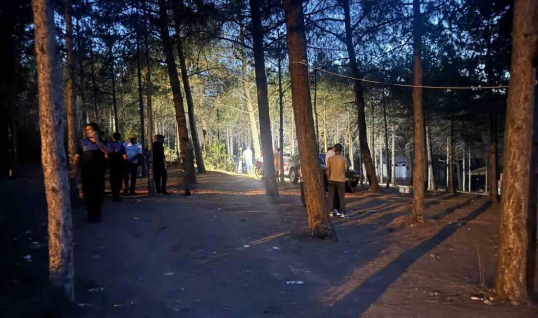 Bilecik Atatürk Ormanı’nda alkol alan iki arkadaş arasında çıkan kavgada