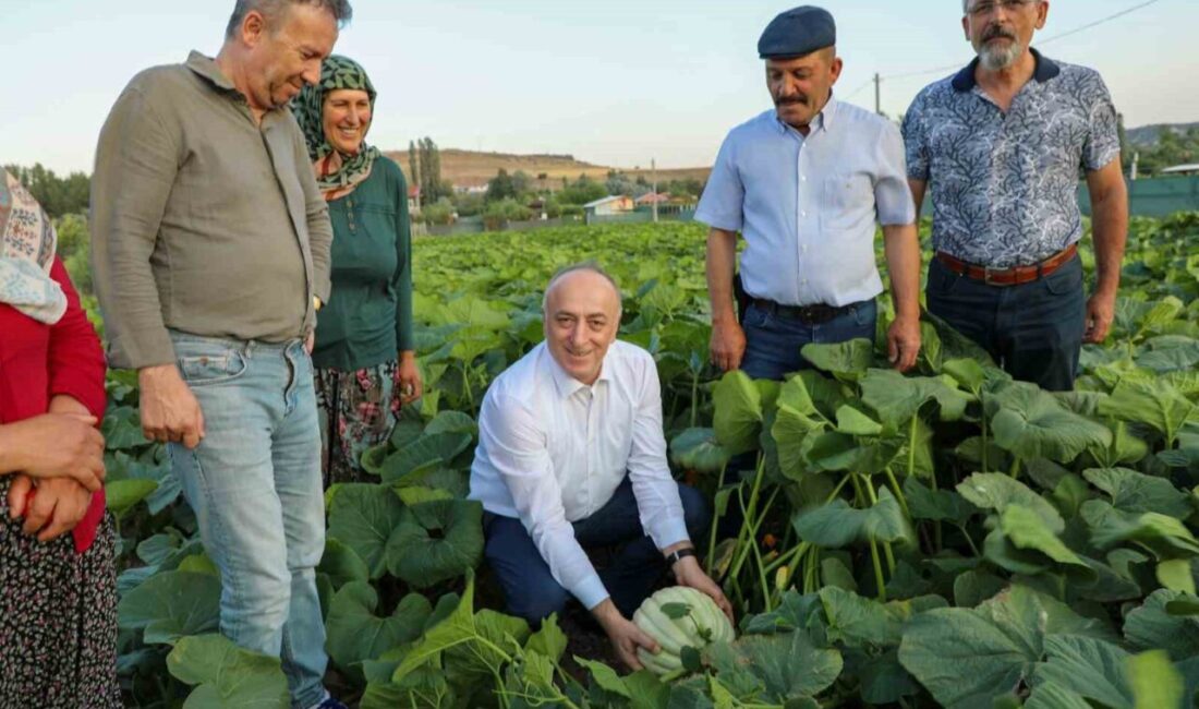 Eskişehir İl Tarım ve Orman Müdürü Yüksel Çil, Tepebaşı ilçesinde