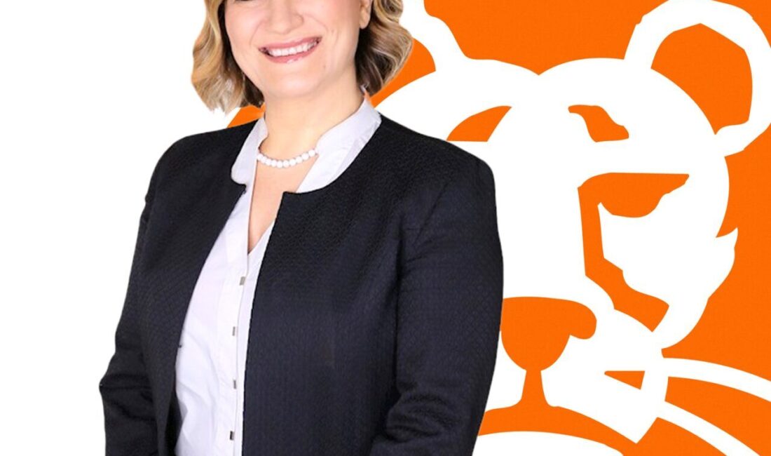 - ING Türkiye Tüzel Bankacılık Genel Müdür Yardımcısı Hüsniye Ulu:
-
