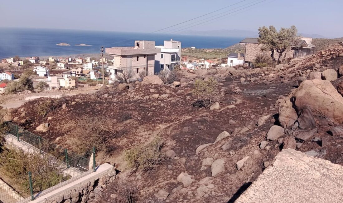 İZMİR (AA) – İzmir'in Dikili ilçesinde bir sitede çıkan ve