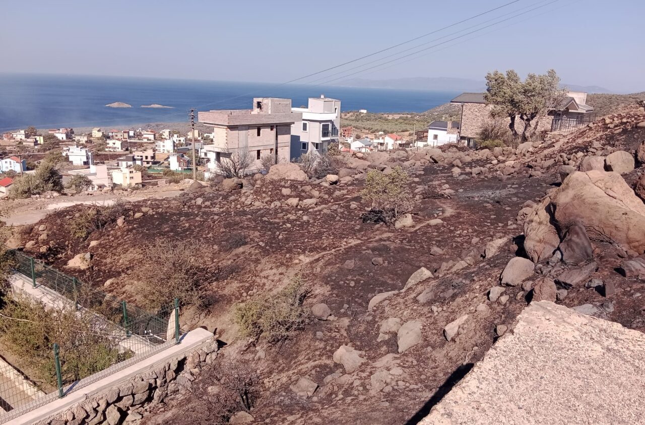 İZMİR (AA) – İzmir'in Dikili ilçesinde bir sitede çıkan ve