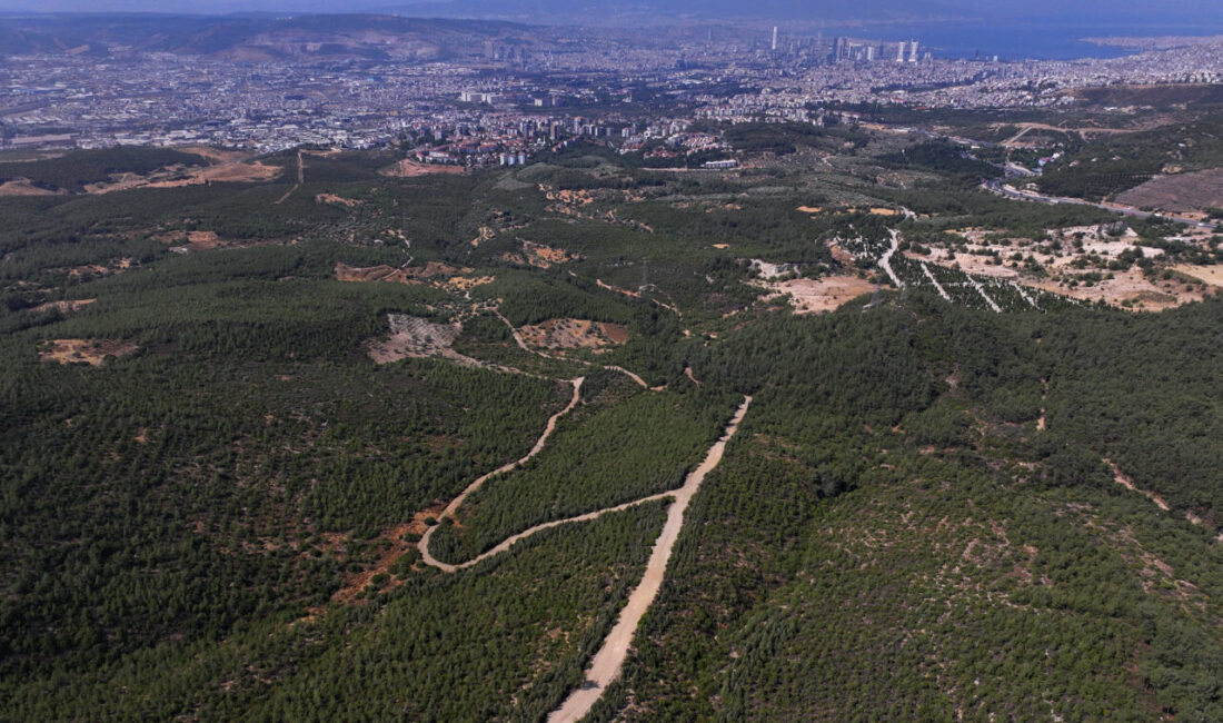 İZMİR (AA) – İzmir'in Bornova ilçesinde 16 yıl önce yanan