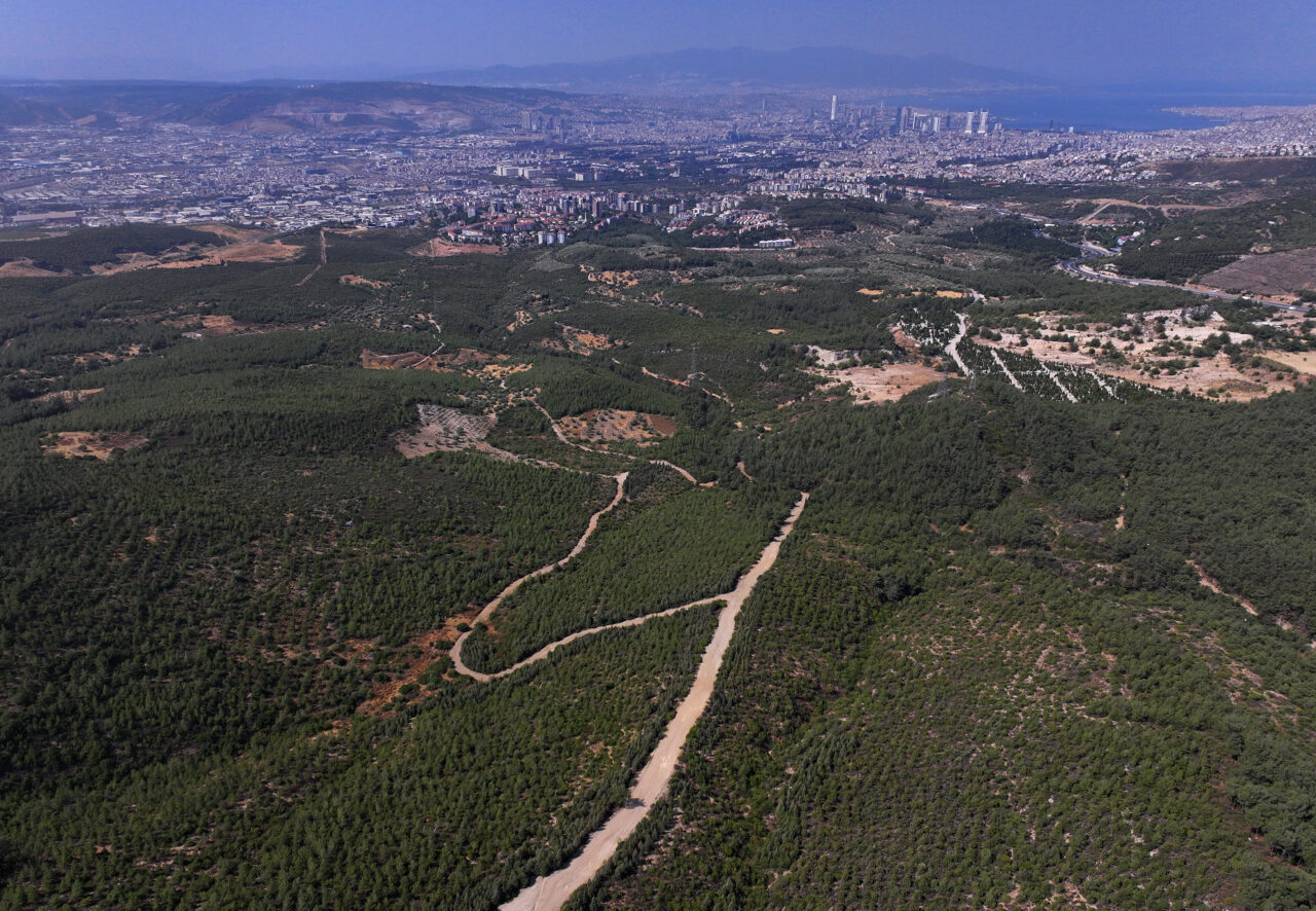 İZMİR (AA) – İzmir'in Bornova ilçesinde 16 yıl önce yanan