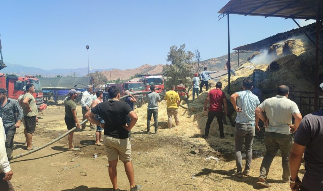 İZMİR (AA) – İzmir'in Ödemiş ilçesinde bir çiftlikte çıkan yangında