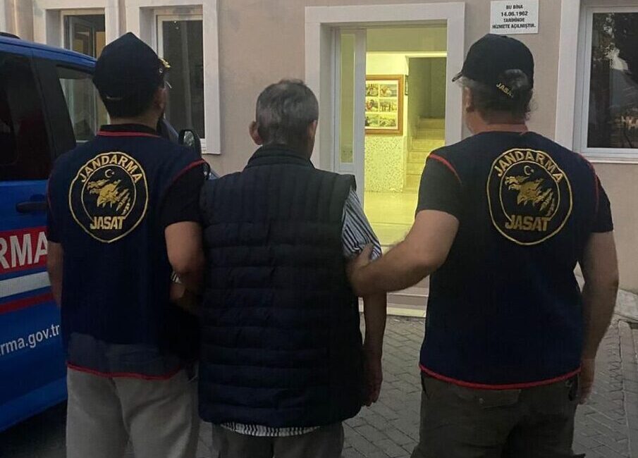 İZMİR (AA) – İzmir'in Selçuk ilçesinde sahipsiz hayvanların zehirli yiyeceklerle