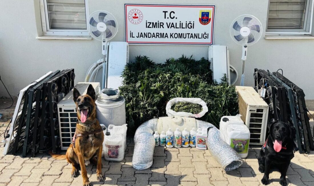 İZMİR (AA) – İzmir'in Menderes ilçesinde düzenlenen uyuşturucu operasyonunda 1