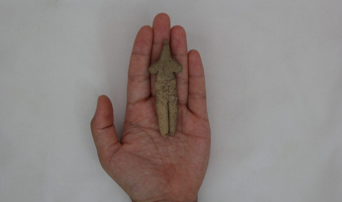 İZMİR (AA) – İzmir'in Kemalpaşa ilçesindeki Ulucak Höyüğü'nde yürütülen kazılarda,