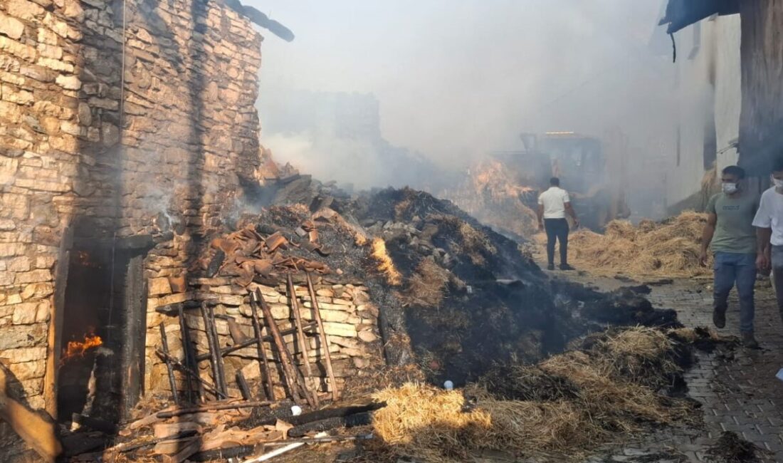 KÜTAHYA (AA) – Kütahya'nın Emet ilçesinde, bir köyde çıkan yangında