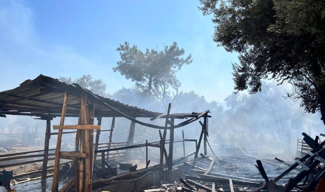 MUĞLA (AA) – Muğla'nın Seydikemer ilçesinde ahırda çıkan yangında 14