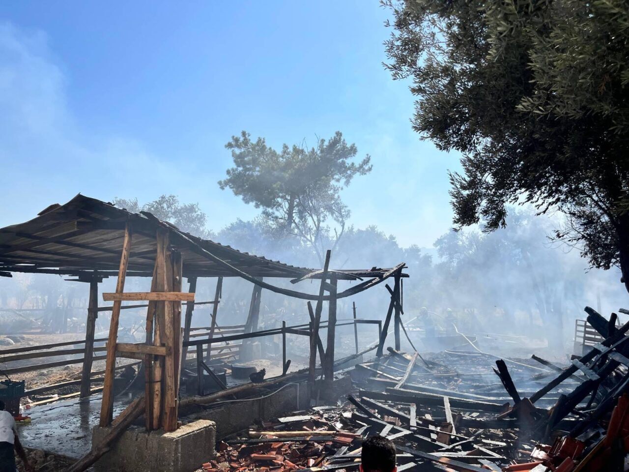 MUĞLA (AA) – Muğla'nın Seydikemer ilçesinde ahırda çıkan yangında 14
