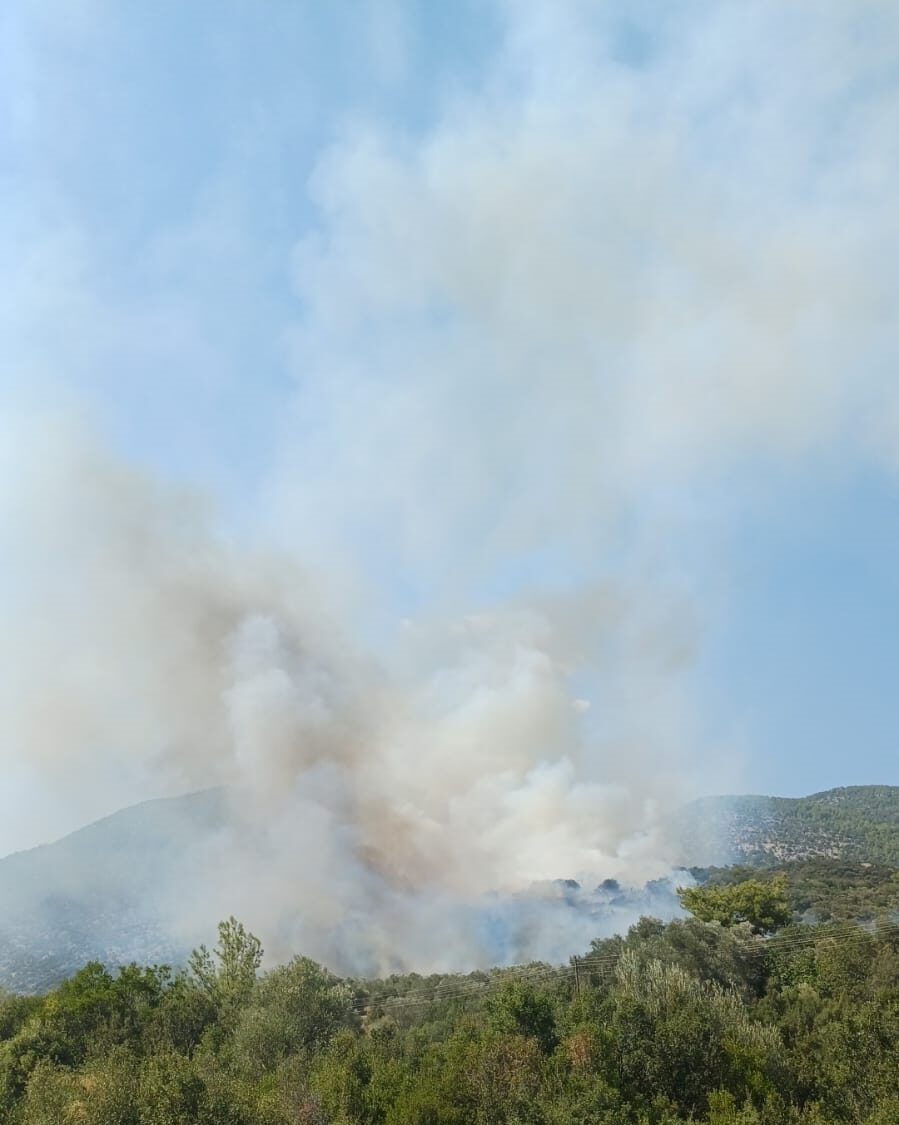 MUĞLA (AA) – Muğla'nın Seydikemer ilçesinde ormanlık alanda çıkan yangına