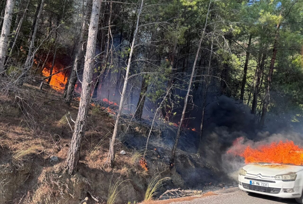 MUĞLA (AA) – Muğla'nın Dalaman ilçesinde otomobilde çıkan ve ormana