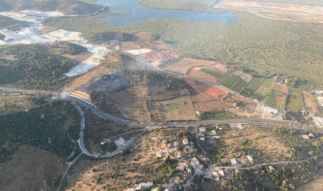 MUĞLA (AA) – Muğla'nın Milas ilçesinde ziraat alanında başlayıp ormana