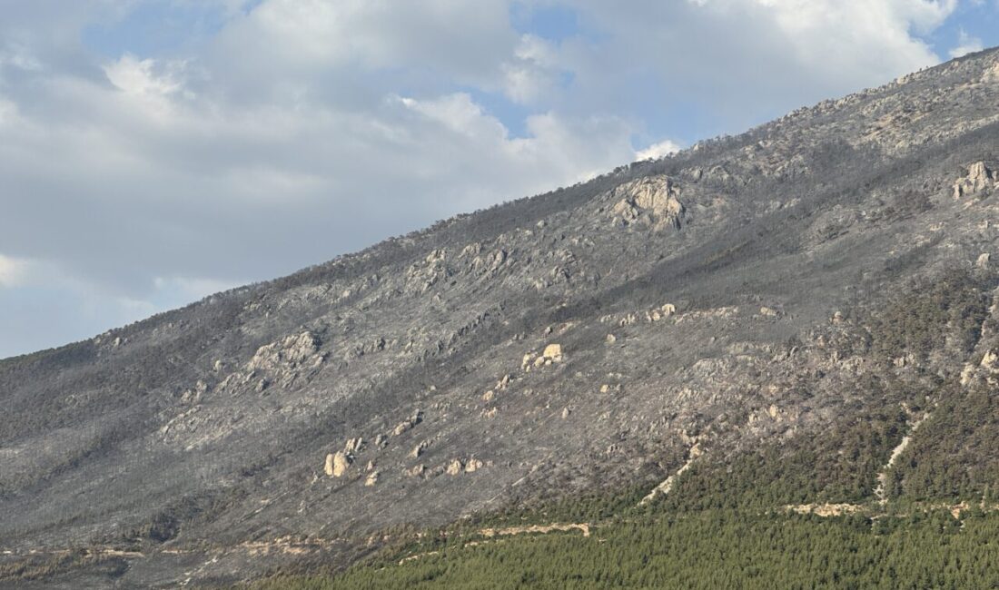 DENİZLİ (AA) – Denizli'nin Pamukkale ilçesindeki orman yangını kontrol altına