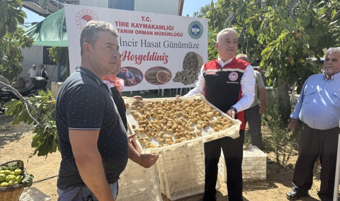 İZMİR (AA) – İzmir'in Tire ilçesinde incir üreticilerine kurutma kereveti