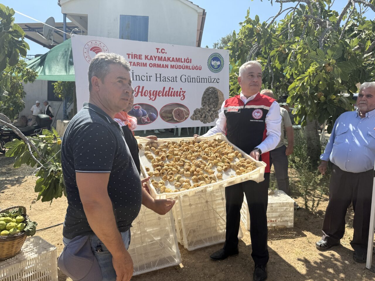 İZMİR (AA) – İzmir'in Tire ilçesinde incir üreticilerine kurutma kereveti