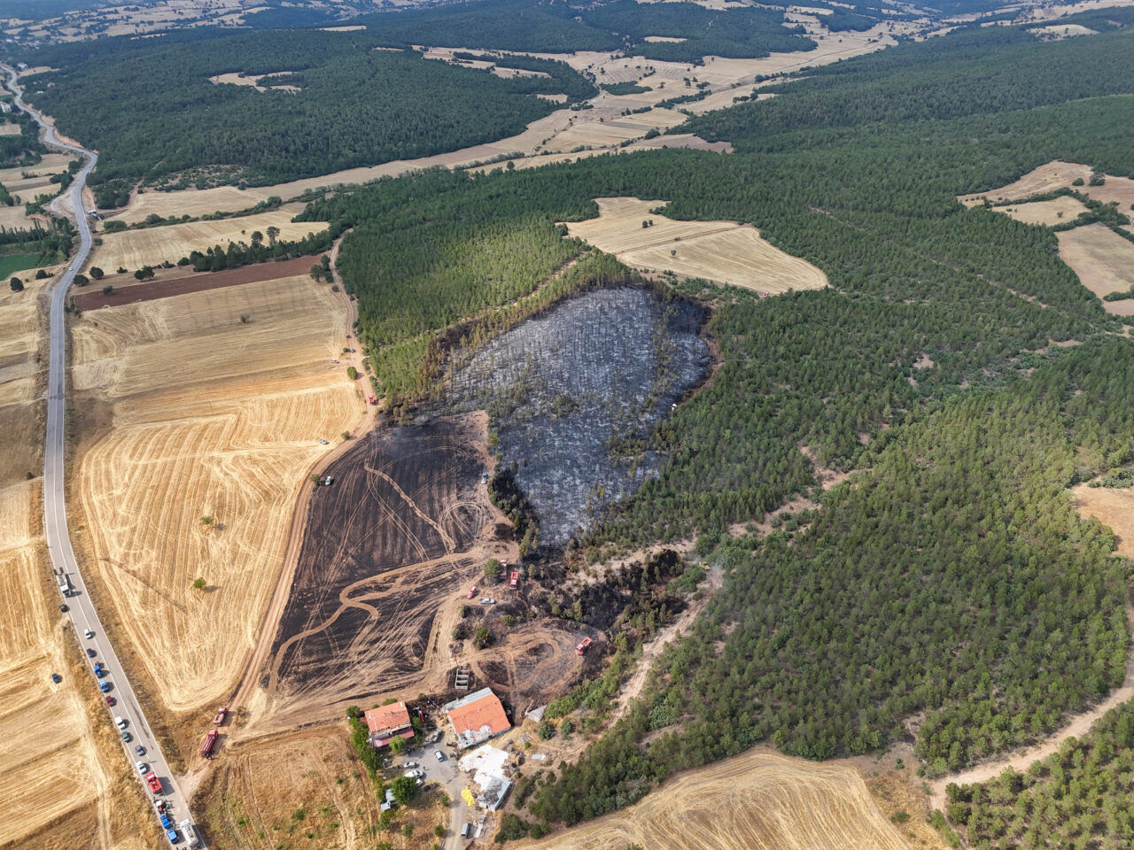 UŞAK (AA) – Uşak'ın Banaz ilçesinde anızdan başlayıp ormanlık alana